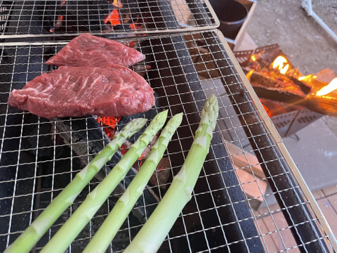 【おまけ付き】お肉や海鮮BBQに♪北海道産 夏採りアスパラL・Mサイズ700g