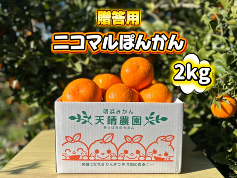 【愛媛県産】季節限定　甘味がギュッと詰まったポンカン　贈答用　2ｋｇ