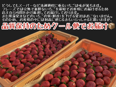 とちあいか』フレーズのこだわりいちご260×2パック：栃木県産の