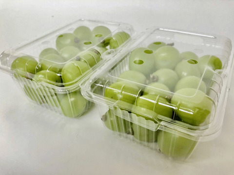 TUBU] シャインマスカット（500g×2パック）：山形県産のシャイン