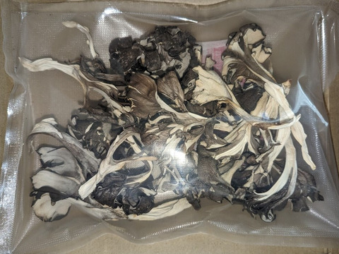 乾燥舞茸　100g（原木舞茸を乾燥させました！）