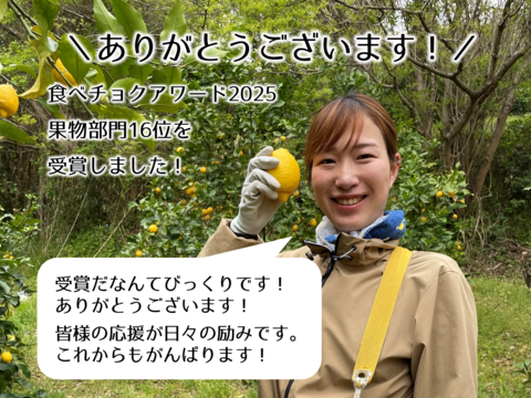 12/29より順次発送【数量限定】幻のみかん『石地（いしじ）プティサイズ 3kg』 小粒 3キロ 仲屋 海瀬農園 静岡県 西浦みかん