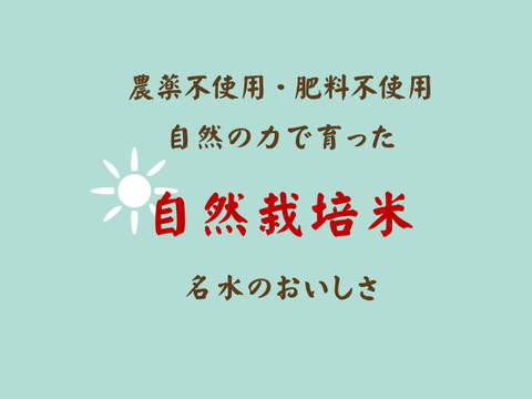 【R5年度】コシヒカリ・玄米（10kg）【自然栽培　栽培期間中　農薬・肥料不使用】