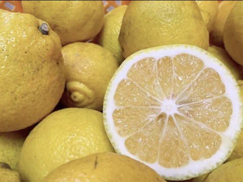 【みかん食べくらべ】はるみ2kgはるか2kg【ゲン担ぎ福袋】少々キズあり大小まざり