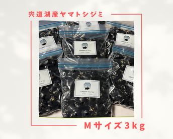 【訳あり】漁師直送！宍道湖産ヤマトシジミ・冷凍3kg（ご家庭用・Mサイズ）