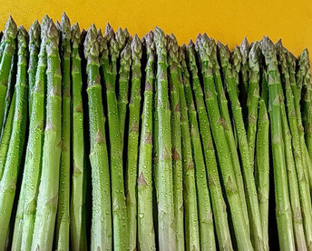 【アスパラグランプリ総合大賞受賞】感謝商品✨3種の健康なアスパラガス（1.5kg）　サイズミックスで50本以上入るお得な大容量です！