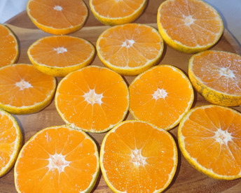 家庭用【自然栽培】（糖度15度超え）樹上完熟の倉出し 食べやすい甘さ 食べ出したら止まらない 中生みかん（10K）