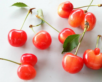 【佐藤錦】家庭用グラデーションセット 🍒７００グラム🍒【双子ちゃんが入るかも】【訳あり】【さくらんぼ】