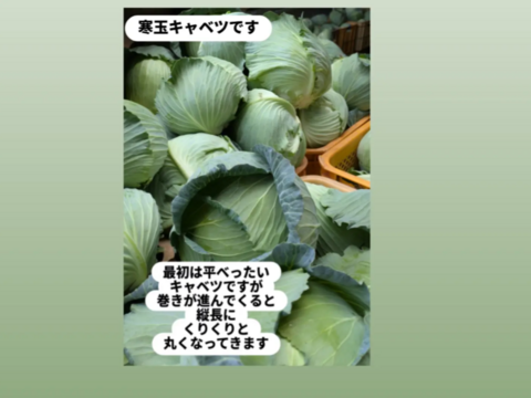 食べてみりん🥦🥬セット