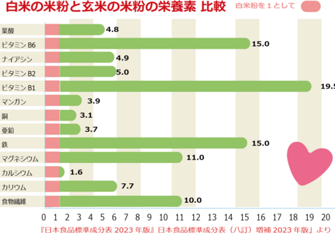 パン ピザ 業務用 玄米粉 ミズホチカラ 20㎏ 米粉 大量 国産 国内産 米粉パン 食パン グルテンフリー パンケーキ ピザ生地 岡山 蒜山高原産