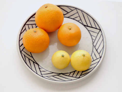 無袋完熟清見オレンジ　黄金柑   合わせて１．８ｋｇ入り　【柑橘食べ比べ】