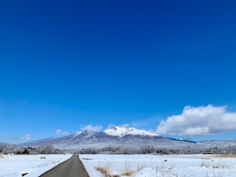 ★冷涼な軽井沢は7月までがいちごの旬★【軽井沢高原プレミアムいちご・化学農薬を限界まで抑えたこだわりの当園独自農法】☆厳選☆スタンダードBOX（15粒または18粒入り【贈答用】）