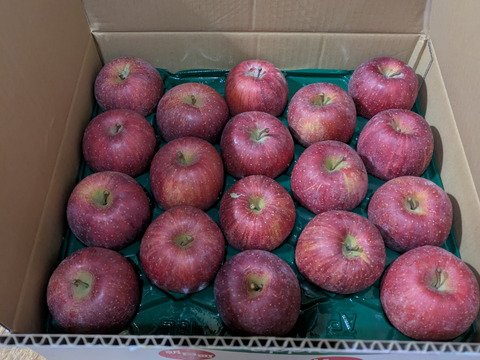 果汁溢れる！ サンふじ【わけあり家庭用 5kg 】