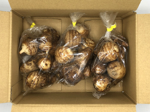 ヌメリの多く煮崩れしにくいサトイモ『石川早生』400g×3袋