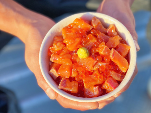 【福袋】圓子水産お試し福袋｜あれこれ楽しめる・少人数向け・１〜２人前