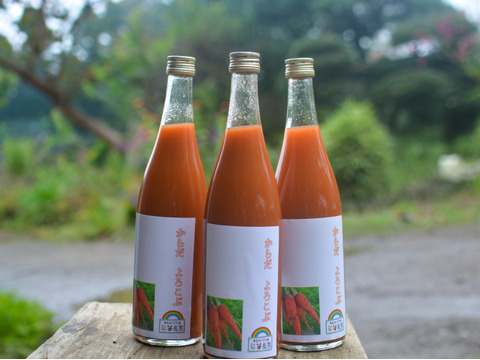 【銀賞受賞｜農薬不使用】濃厚なのにスッキリ にんじんジュース 720ml×1本