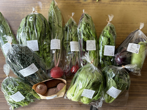 【箱いっぱいにお届け！】農薬不使用キラピカ旬野菜BOX11〜12品、朝穫れ農の島＊大三島＊よりお届け！
