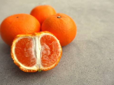 せとかの親系統品種で話題！やみつきになる「甘み」と「味わい」！「蜜之望（みつののぞみ）」　サイズ混合　お試し品　約２ｋｇ【346】