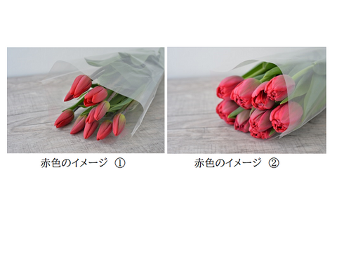 【まもなく終了】品種おまかせ　新潟県産チューリップ切り花2色ミックス20本（赤系・黄色系） 　※北海道・沖縄県配送不可※