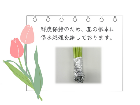 ラ・ベルエポック　　チューリップ10本　アンティークカラー　希少品種　　※北海道・沖縄県配送不可※