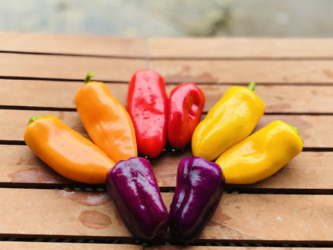 【期間限定】カラダ喜ぶ『Mサイズ冬のカラフル野菜セット8品目』