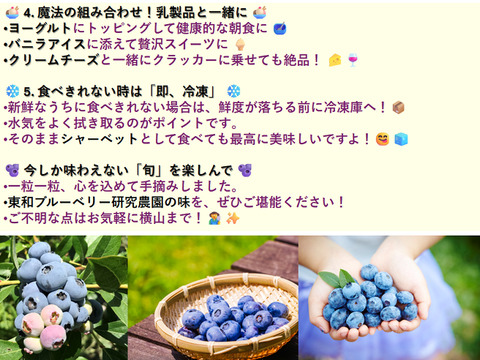 完熟手摘み選別した新鮮ブルーベリー１Kg ：ノーザン・サザン系（250gの4パック）：数粒まとめて頬張り、完熟ならではの、口の中で弾ける『果汁のシャワー』をぜひご体験ください！
