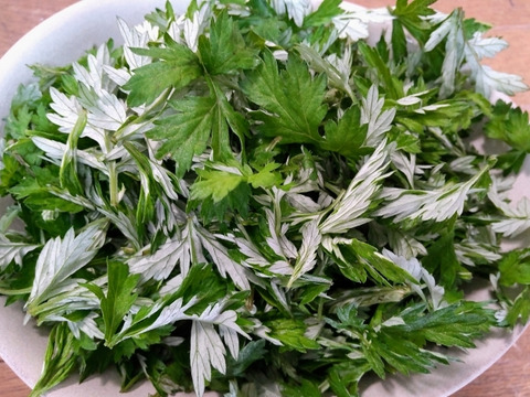 妙高の自然が育てた貴重な自生クレソン&よもぎのセット 60サイズの箱にいっぱい（おおよそ100グラム）