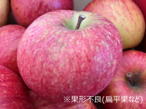 【訳あり】【欲ばり！旬りんご2種詰合せセット】（5kg・14～20個入り）パリパリ・ジューシー超お得な家庭用
