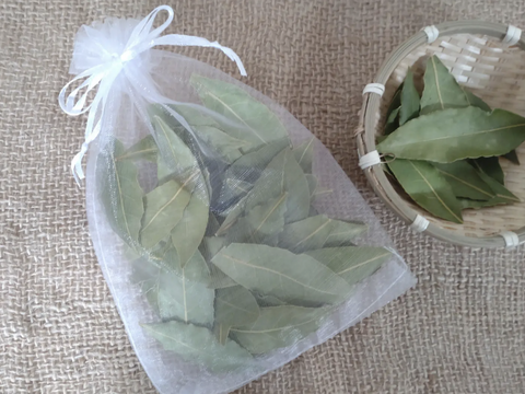 ローリエ月桂樹の生葉または乾燥葉 30枚🌿ハーブ🌿オーガンジーの袋入り♪ シチュー等のお料理に ハーブティーに お風呂に リースやスワッグの材料に☆自然栽培🏣ゆうパック