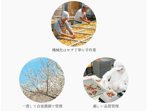 【ぴくちゃん様 専用】紀州南高しそ漬梅(塩分15%)400g、種ぬき干し梅 16粒(80g)×2袋　合計2アイテムセット