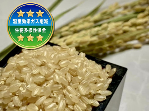 🟢【令和7年産】特別栽培　大粒1.9mm  きぬむすめ🟢　玄米10kg