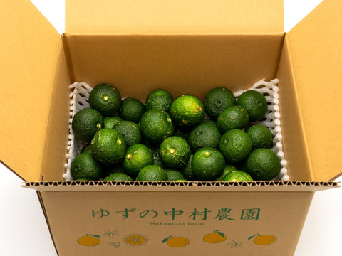 有機JAS 青ゆず３キロ -2025年産-