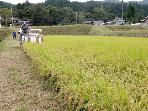 【2023年産】特別栽培米コシヒカリ(白米)１０kg