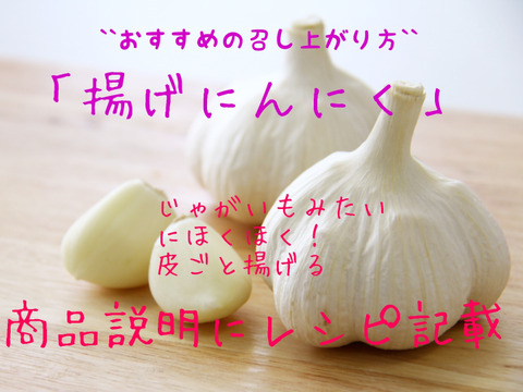 格安！訳あり品!!　北海道しれとこ産　少し発芽にんにく100ｇ～