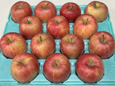 まさゆめ🍎家庭用約4.5Kg　在庫限り　ふじの子供　希少品種　新品種　果汁たっぷり　流行の先取り　青森県産　数量限定