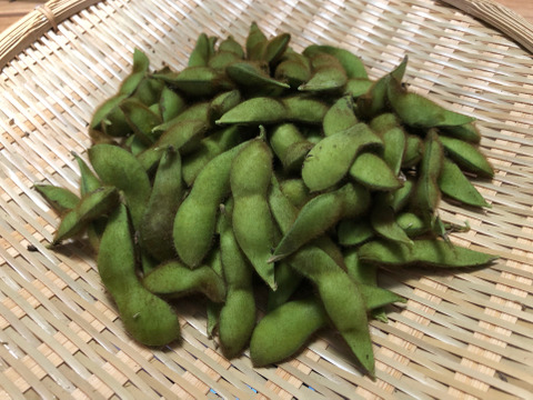 ※数量限定【農薬・化学肥料不使用栽培】青森県産秘伝豆（枝豆）700ｇ（クール便）