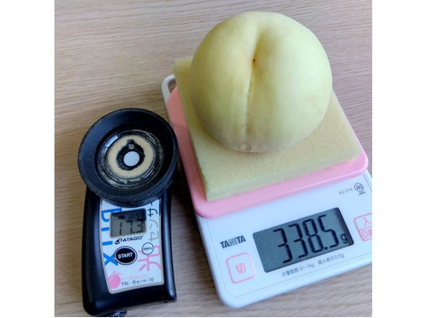 岡山白桃シリーズ随一の高糖度！【川中島白桃・白皇】（ご家庭用・約2kg）
