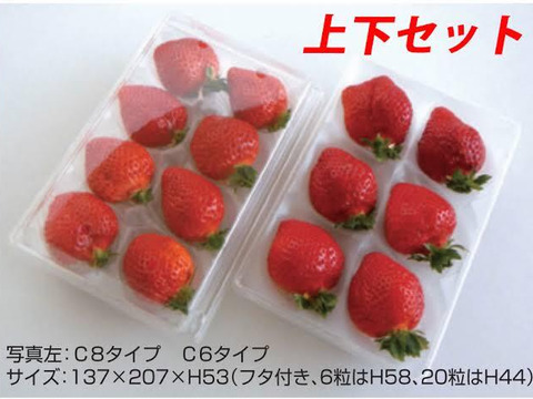 贈答用岡山県産晴苺(大粒9粒入りパック×2)