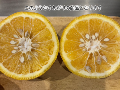 【加工用】甘夏（あまなつ）4.5kg 4/19より順次発送 仲屋 海瀬農園