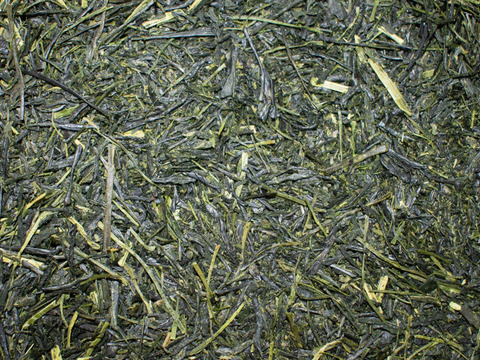 緑茶（さえみどり100%）90g
