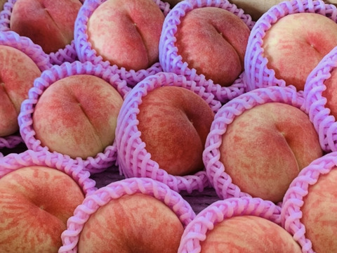 硬め食感高糖度‼️山形県産 陽夏妃【2キロ小玉】