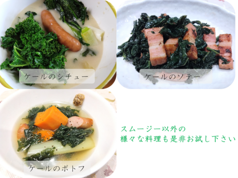 サラダ・スムージー用オーガニックケール【80gパック・30入り】