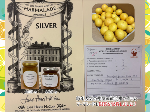 スイーツ作りに！【防腐剤・ワックス不使用】西浦れもん 大玉 2.7kg 仲屋 海瀬農園