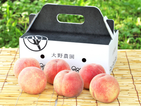 【桃：夏かんろ・2kg程度】甘さと食味が一級品の早生品種