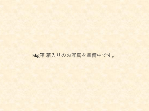 12/20より順次発送 幻のみかん『石地（いしじ）サイズ混合 5kg』 希少品種 5キロ 仲屋 海瀬農園 静岡県 西浦みかん