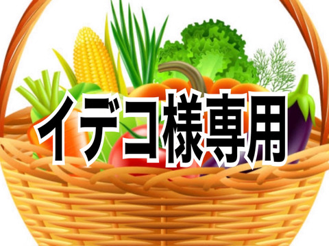 【イデコ様専用】野菜セット