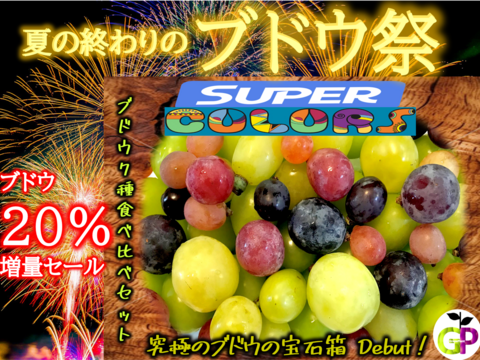 究極のブドウの宝石箱　7種食べ比べ『SUPER COLORS スーパーカラーズ』750g×1P　朝採り新鮮！夏の終わりのブドウ祭り 只今２０％増量サービス中！！