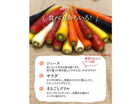 旬彩オーガニック人参食べ比べセット