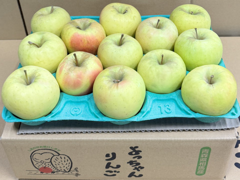 【お手頃・小玉】ぐんま名月　カワイイ小玉💛家庭用約2.7Kg🍏　青森県産　数量限定　程よい大きさ　長持ちしやすい小玉