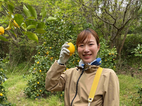 はじける香り！【防腐剤・ワックス不使用】西浦れもん 2.2kg 仲屋 海瀬農園 レモン 2キロ強